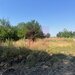 Teren Clinceni- Ordoreanu- langa Dig.